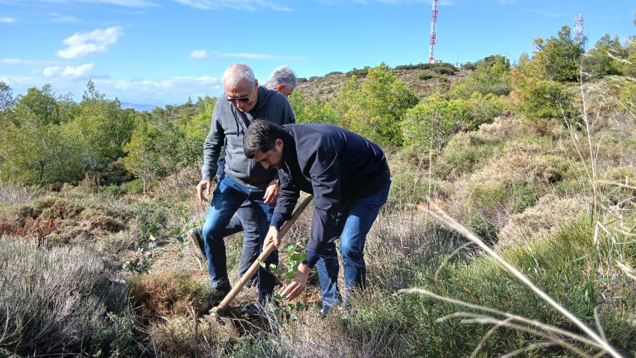 spap_dendrofyteysi-3_0